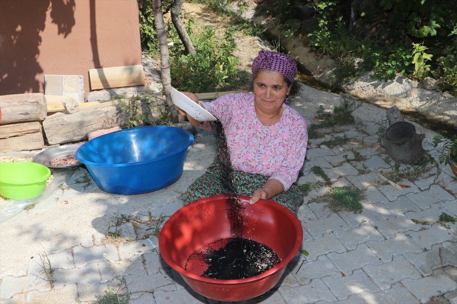 2 Bin Nüfuslu Beldede Kurulan Kooperatif Kadınlara Umut Oluyor