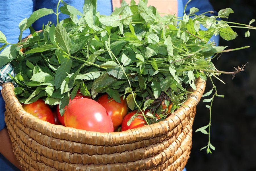 2 Bin Nüfuslu Beldede Kurulan Kooperatif Kadınlara Umut Oluyor