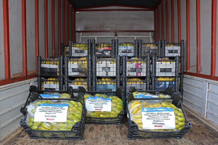 Antalya Büyükşehir Belediyesi, 81 İldeki 81 Okula Muz Gönderdi