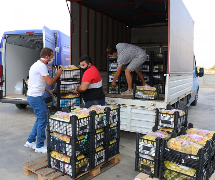 Antalya Büyükşehir Belediyesi, 81 İldeki 81 Okula Muz Gönderdi