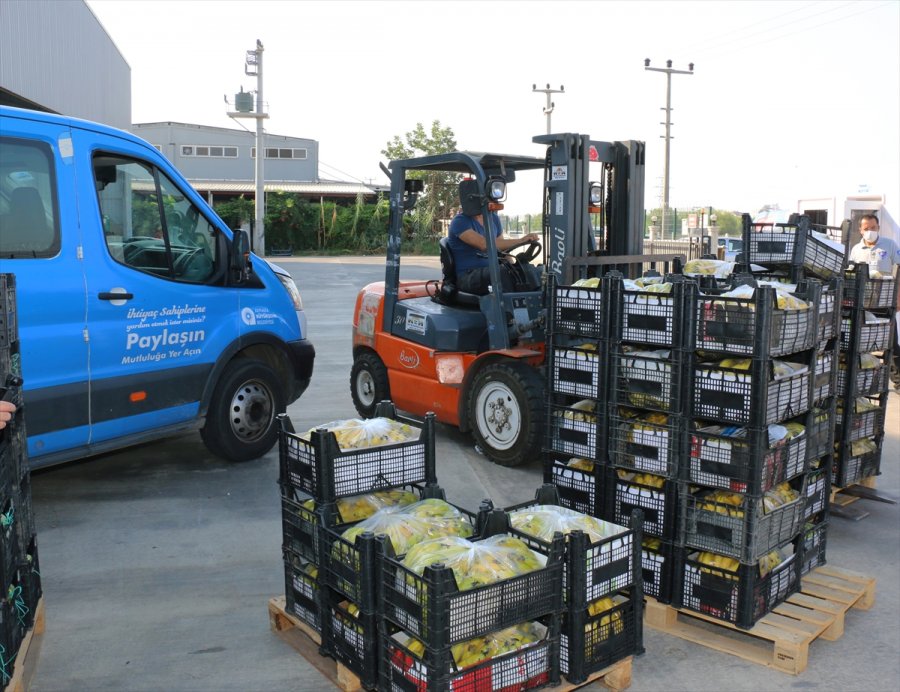 Antalya Büyükşehir Belediyesi, 81 İldeki 81 Okula Muz Gönderdi