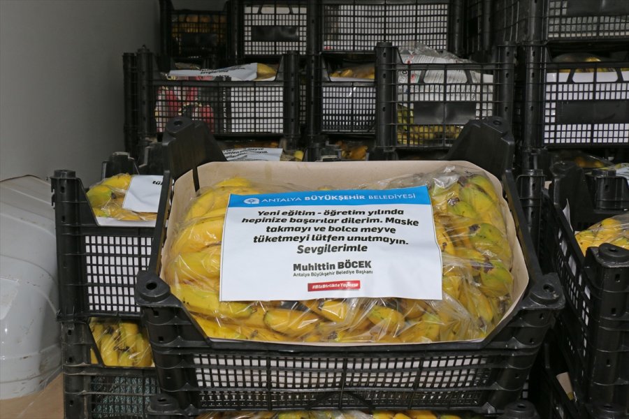 Antalya Büyükşehir Belediyesi, 81 İldeki 81 Okula Muz Gönderdi