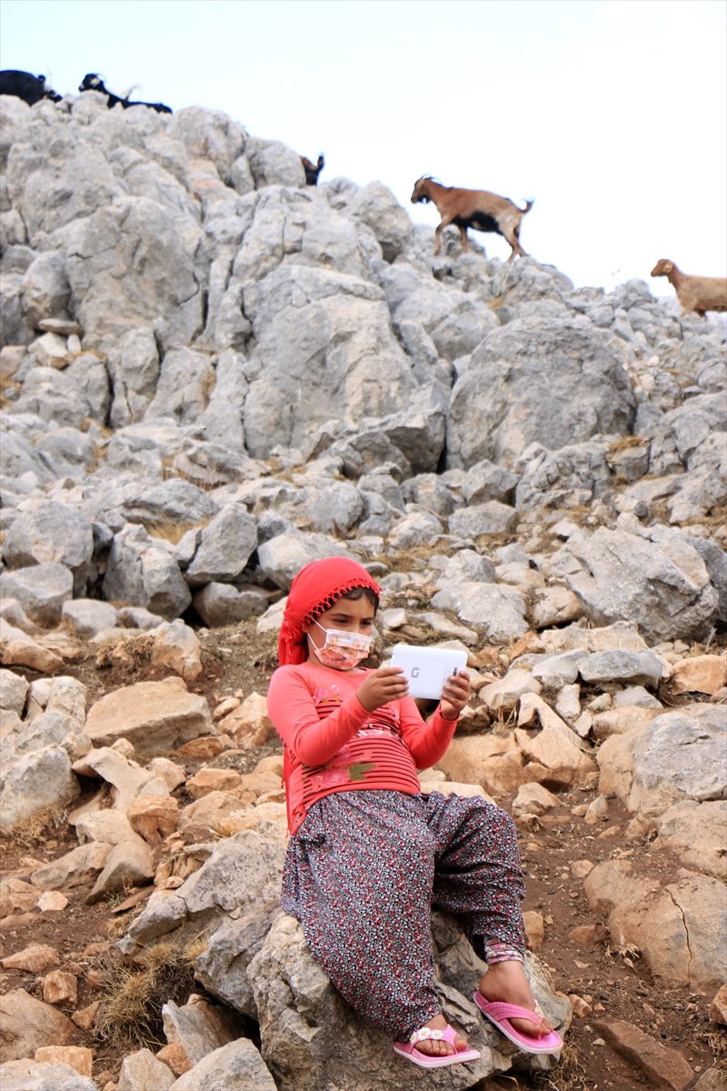 Eba'dan Derslerini Takip Edemeyen Yörük Kızı Gülsüm'e Tablet
