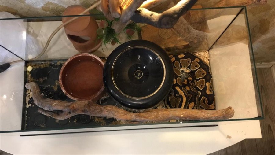 Tefecilere Borcu Yüzünden Siyanürle Eşini Ve Çocuklarını Öldürmüştü