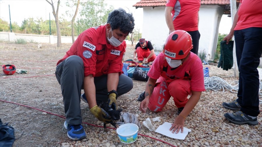 Eskişehir'de Foseptiğe Düşen Kedi Yavrusu Kurtarıldı
