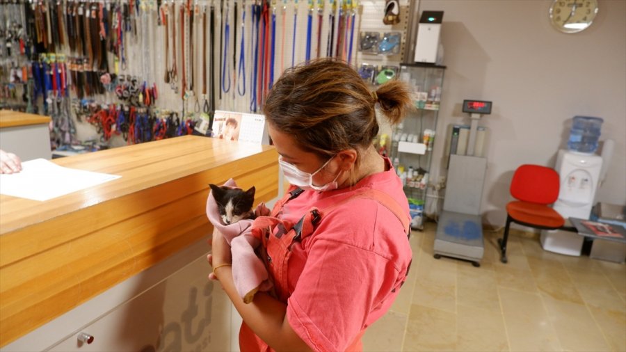 Eskişehir'de Foseptiğe Düşen Kedi Yavrusu Kurtarıldı