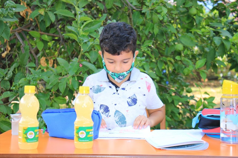 Erdemli Belediyesi, 81 İldeki 81 Okula Limonata Gönderdi