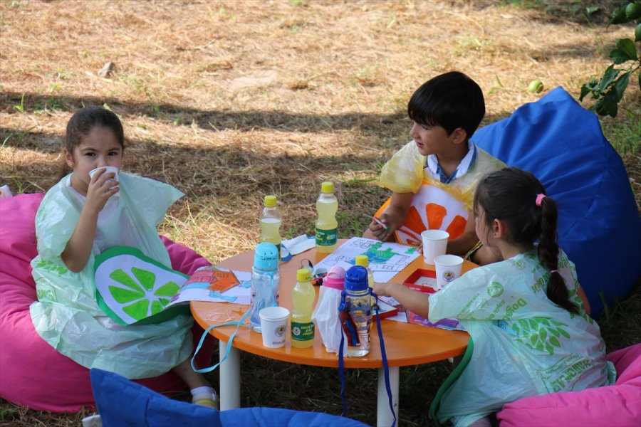 Erdemli Belediyesi, 81 İldeki 81 Okula Limonata Gönderdi