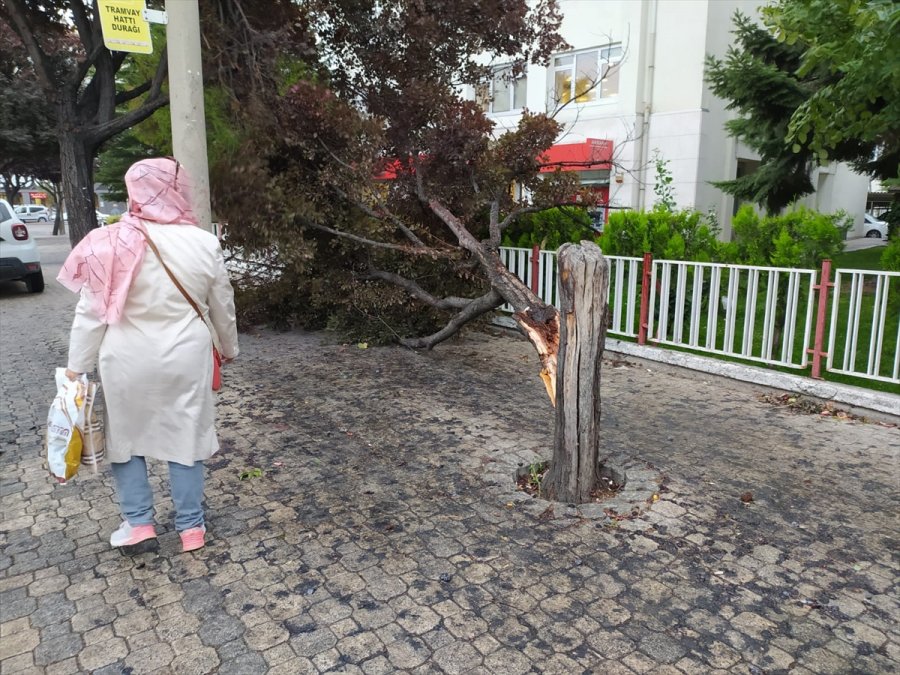 Konya'da Fırtına Hayatı Olumsuz Etkiledi