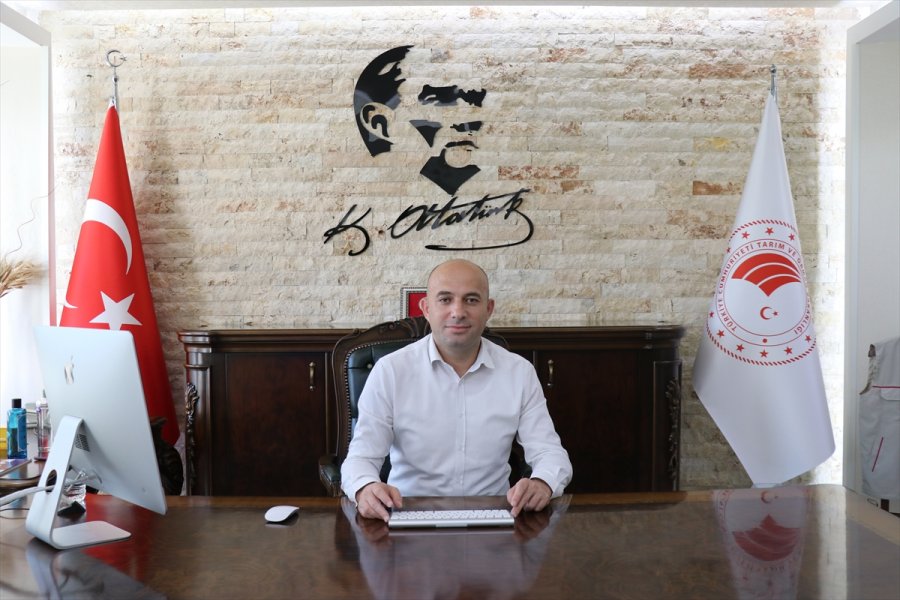 Sanal Tarım Eğitim Programı 