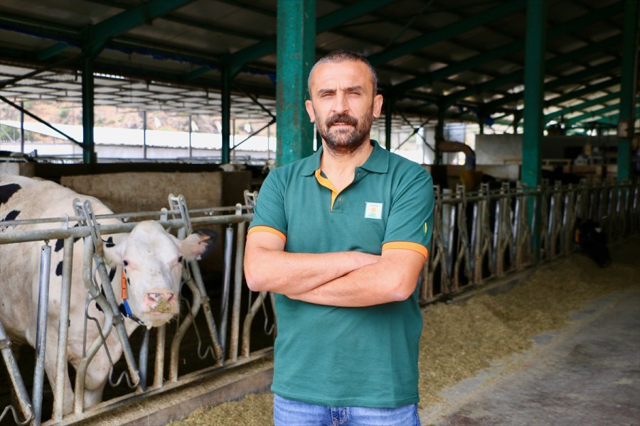 Devlet Desteklerinden Faydalanan Veteriner, Hayalindeki Modern Hayvancılık Tesisini Kurdu