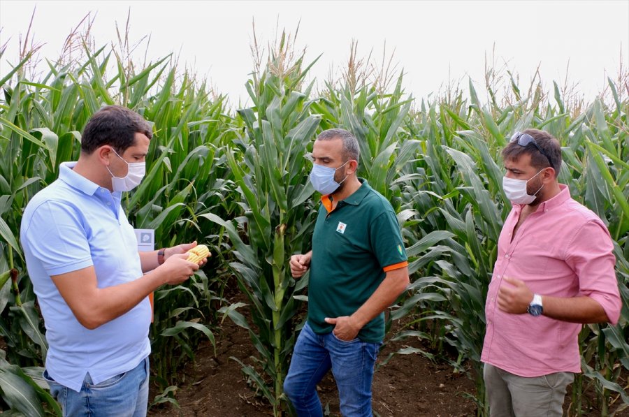 Devlet Desteklerinden Faydalanan Veteriner, Hayalindeki Modern Hayvancılık Tesisini Kurdu