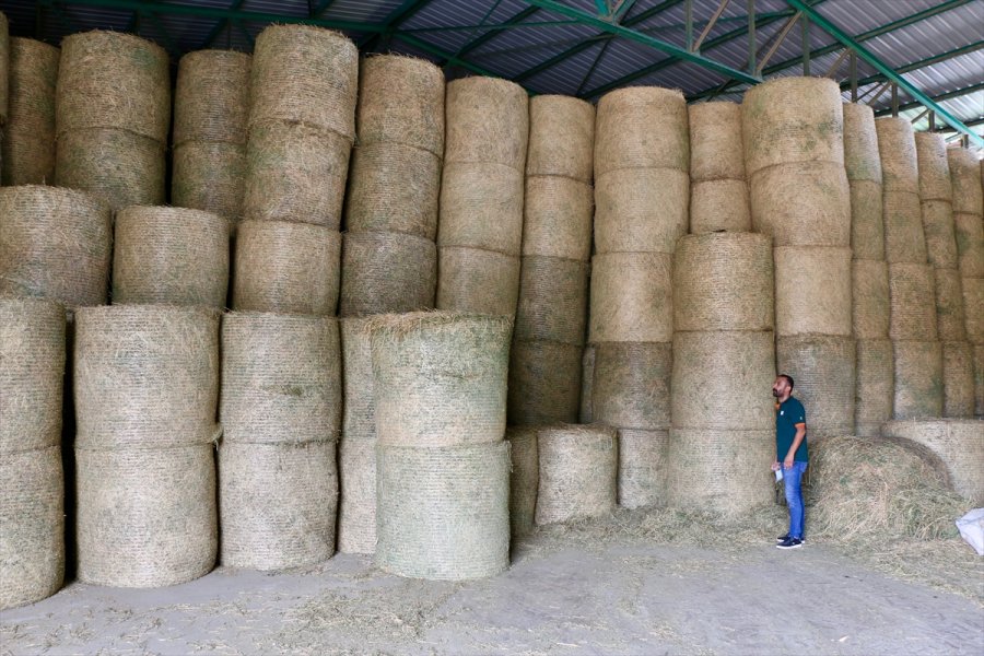 Devlet Desteklerinden Faydalanan Veteriner, Hayalindeki Modern Hayvancılık Tesisini Kurdu