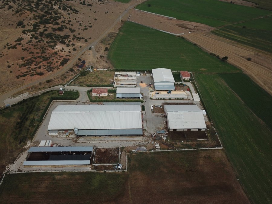 Devlet Desteklerinden Faydalanan Veteriner, Hayalindeki Modern Hayvancılık Tesisini Kurdu