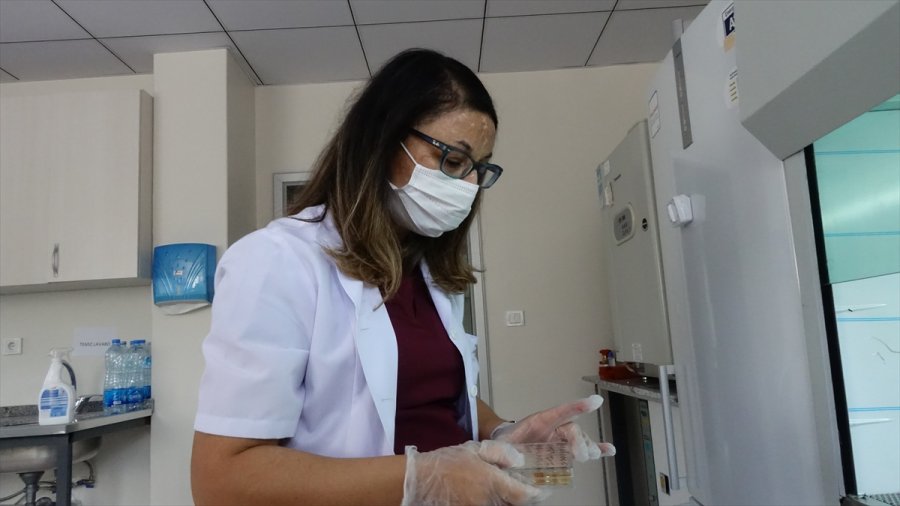 Kovid-19'u Ağır Geçiren 65 Yaş Altı Hastalarda 