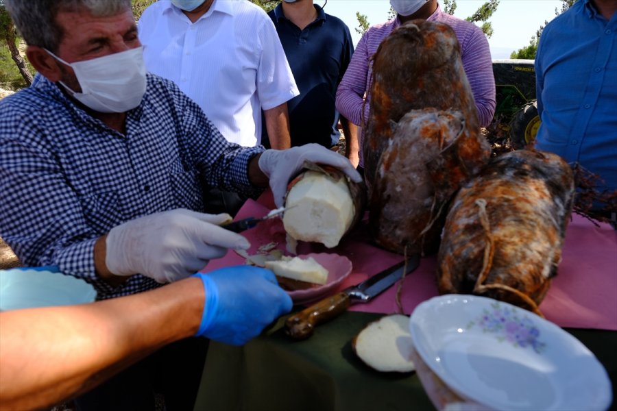 Mersin'de Olgunlaşan Obruk Peynirleri Mağaralardan Çıkarılmaya Başlandı