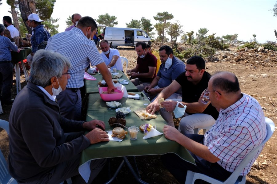Mersin'de Olgunlaşan Obruk Peynirleri Mağaralardan Çıkarılmaya Başlandı