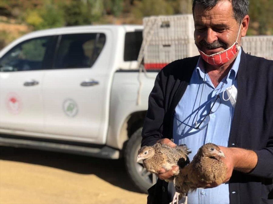 Konya'da Sanatçılar Sülünleri Doğayla Buluşturdu