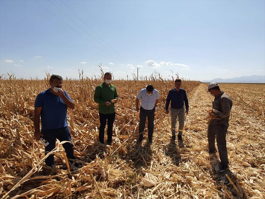 Karapınar'da Fırtınada Zarar Gören Tarım Alanları İncelendi