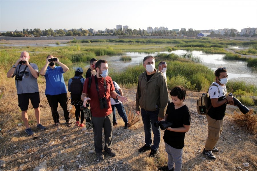 Antalya'da Kuş Gözlemi Etkinliği Düzenlendi