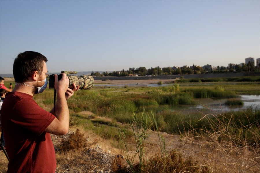Antalya'da Kuş Gözlemi Etkinliği Düzenlendi
