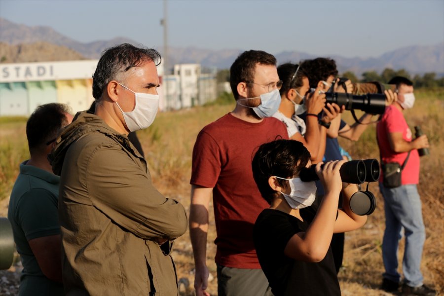 Antalya'da Kuş Gözlemi Etkinliği Düzenlendi