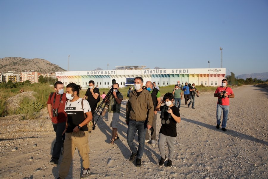 Antalya'da Kuş Gözlemi Etkinliği Düzenlendi
