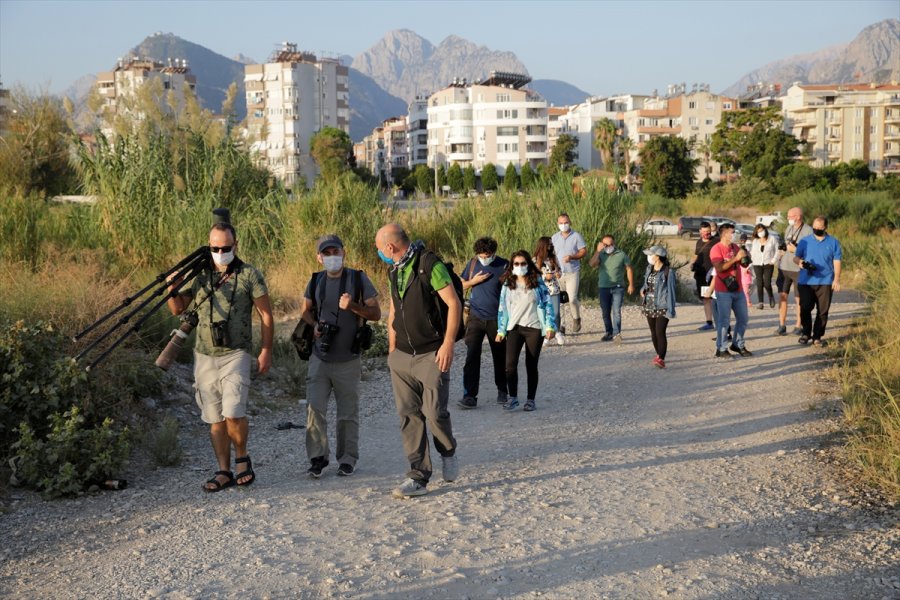 Antalya'da Kuş Gözlemi Etkinliği Düzenlendi