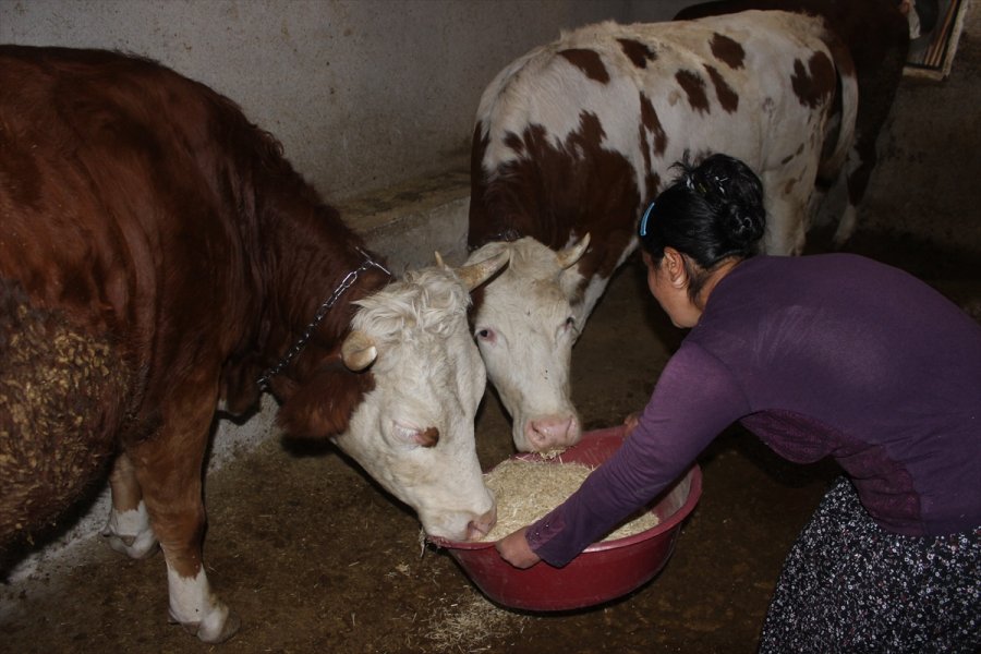 Tomarza'da Engelli Kadın İşkur Desteği İle İş Sahibi Oldu