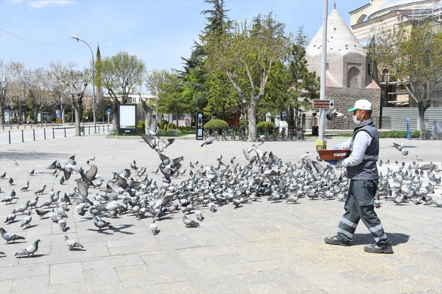 Konya Büyükşehir Başkan Altay, Dünya Hayvanları Koruma Günü'nü Kutladı