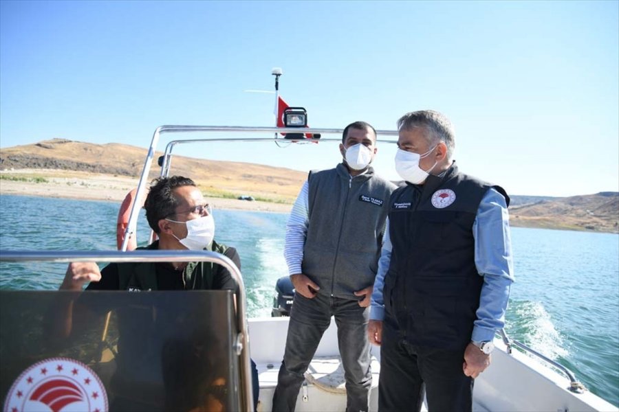 Kayseri'de Balıkçılık Faaliyetleri Denetleniyor