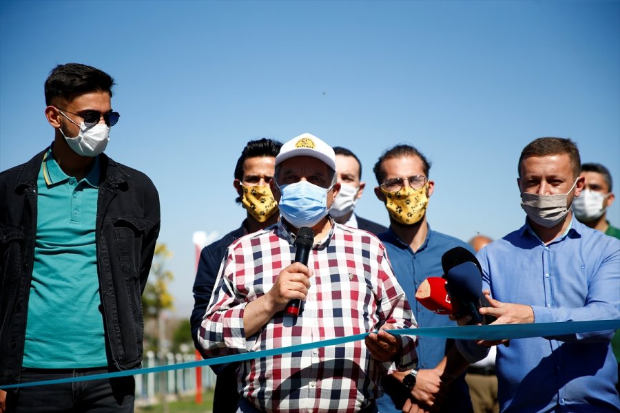 Kayseri'de Köpekler İçin 