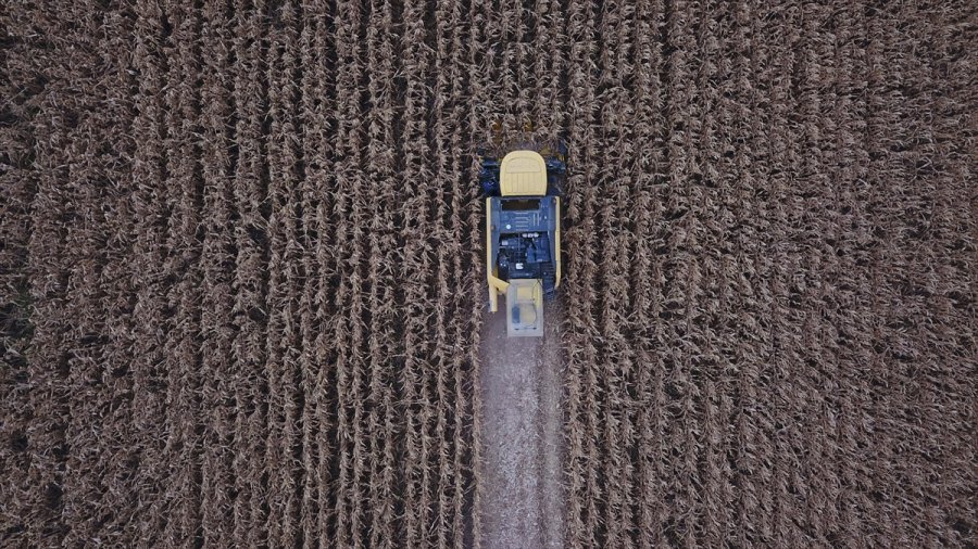 Eskişehir'de Hibrit Mısır Tohumu Ekilen Tarlada Hasat Programı