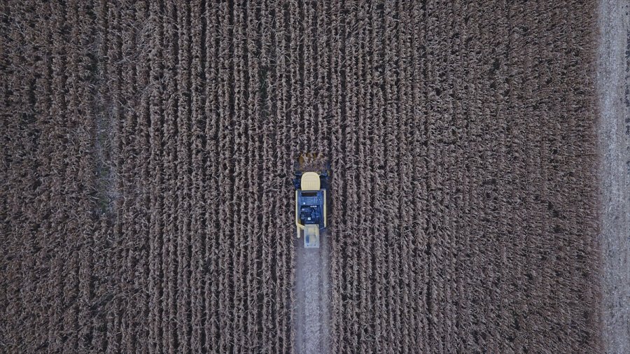 Eskişehir'de Hibrit Mısır Tohumu Ekilen Tarlada Hasat Programı