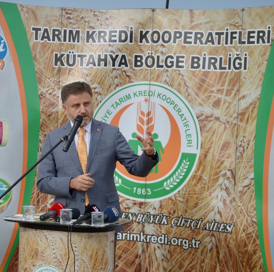 Eskişehir'de Hibrit Mısır Tohumu Ekilen Tarlada Hasat Programı