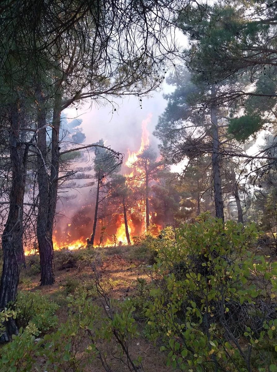 Karaman'da Çıkan Orman Yangınında 10 Dönüm Alan Zarar Gördü