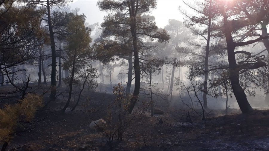 Karaman'da Çıkan Orman Yangınında 10 Dönüm Alan Zarar Gördü