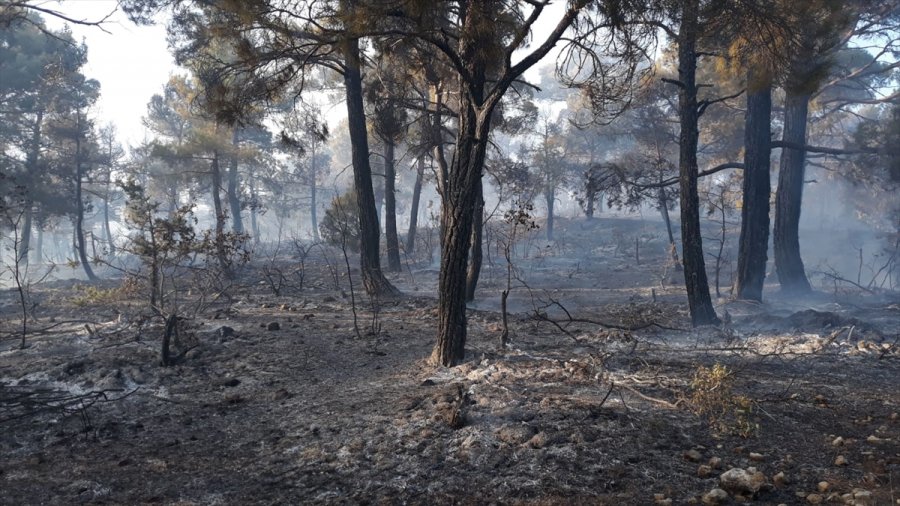 Karaman'da Çıkan Orman Yangınında 10 Dönüm Alan Zarar Gördü