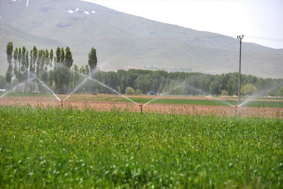 Niğde'de Dsi'nin Yaptığı Modern Sulama Sistemleriyle Ekonomiye 60 Milyon Lira Katkı Sağlandı