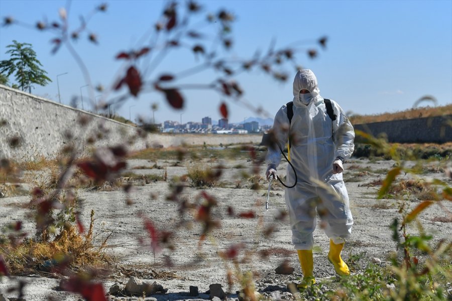 Abb Ankara Çayı'nda Biyolojik Temizlik Başlattı