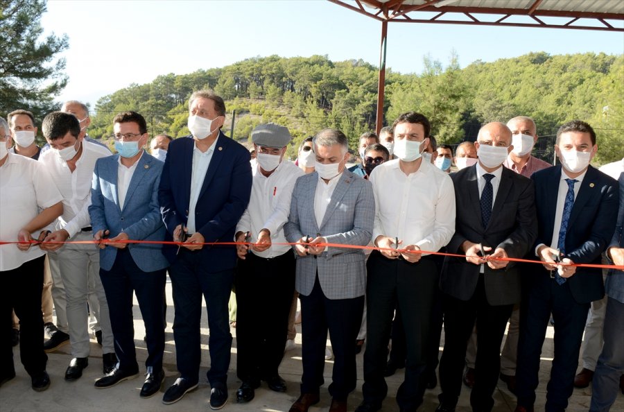 Antalya Valisi Ersin Yazıcı, Sezonun İlk Zeytin Yağı Sıkım Törenine Katıldı