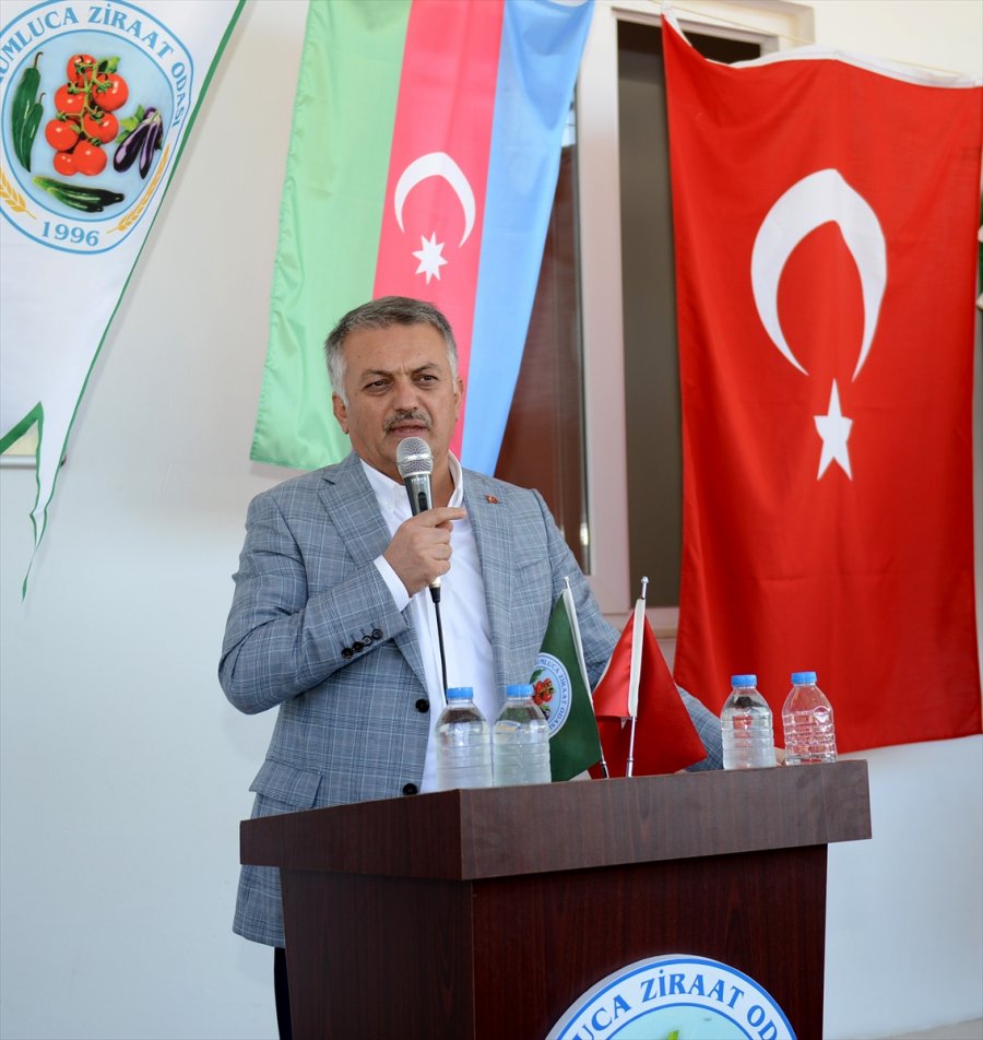 Antalya Valisi Ersin Yazıcı, Sezonun İlk Zeytin Yağı Sıkım Törenine Katıldı