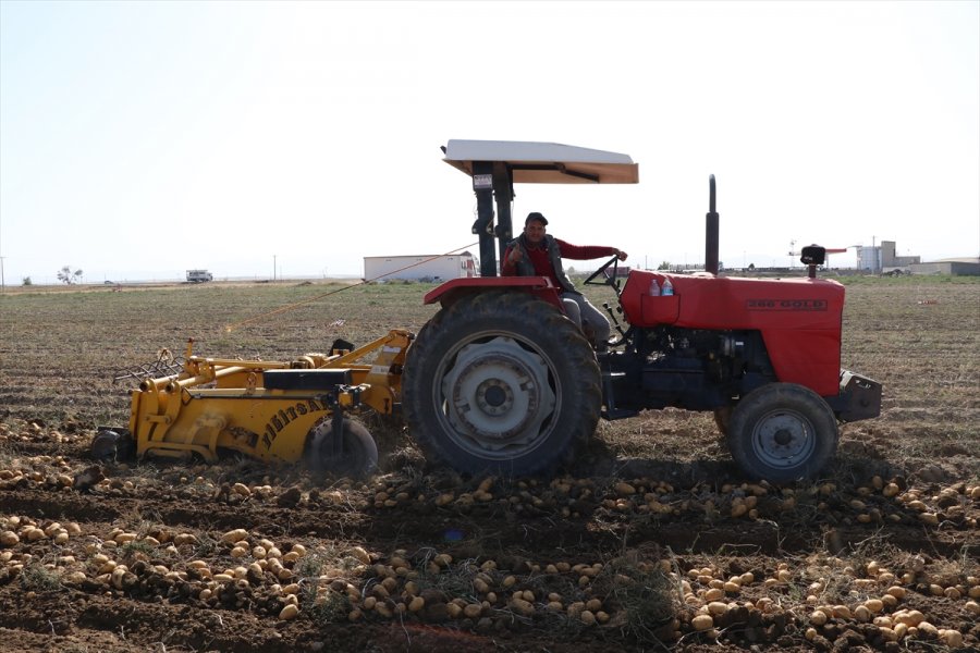 Patates Üretim Merkezi Niğde'de Verim Ve Kalite Üreticiyi Memnun Etti
