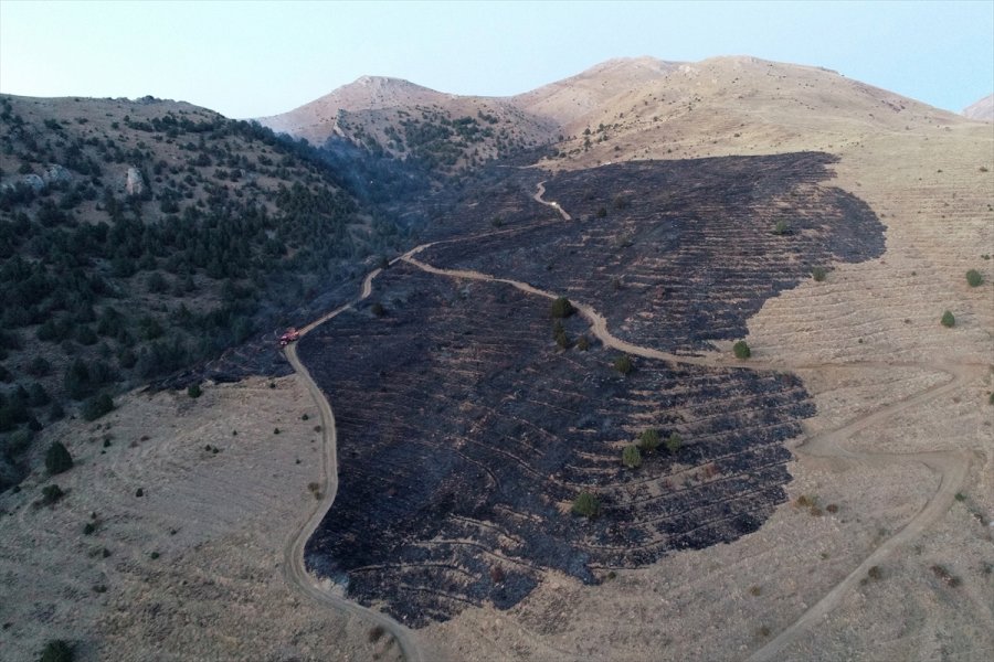 Kayseri'de Ormanlık Alanda Çıkan Yangın Kontrol Altına Alındı