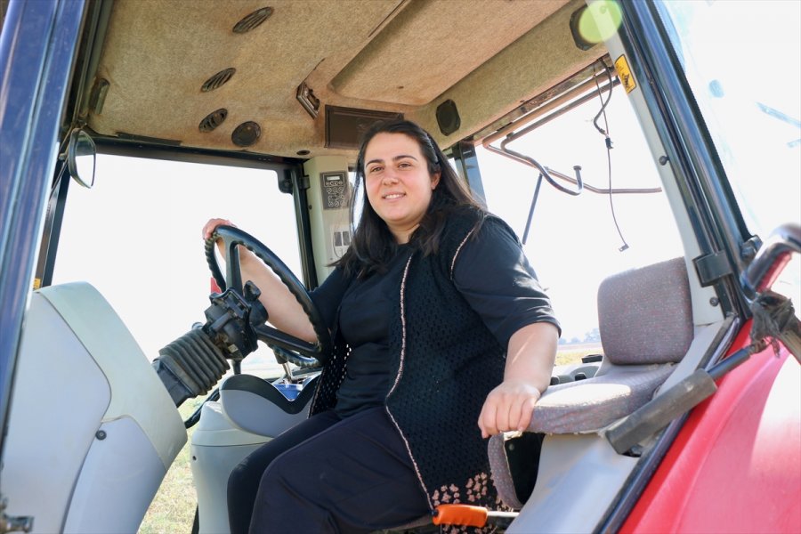 Öğretmenlik Eğitimi Alan Genç Kadın Çiftçilik Ve Hayvancılığı Seçti