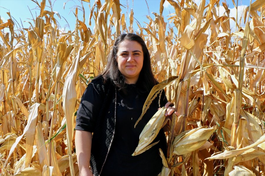 Öğretmenlik Eğitimi Alan Genç Kadın Çiftçilik Ve Hayvancılığı Seçti