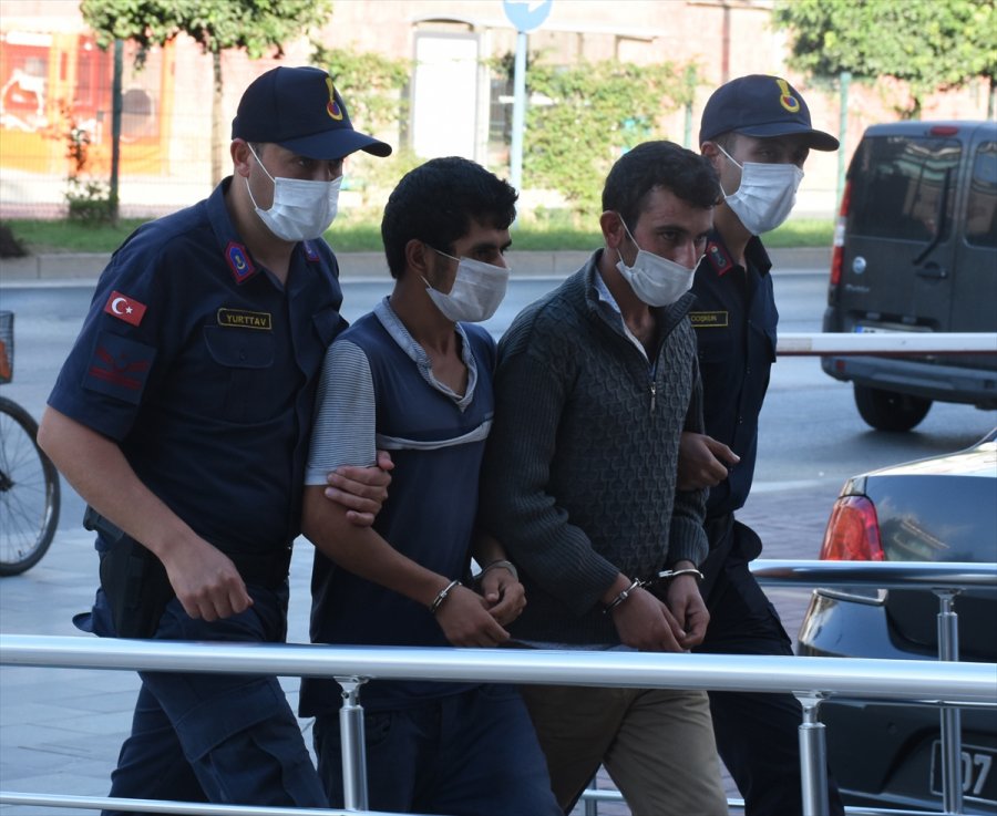 Antalya'da Güvenlik Kamerasına Yansıyan Avokado Hırsızlığıyla İlgili 2 Kardeş Yakalandı