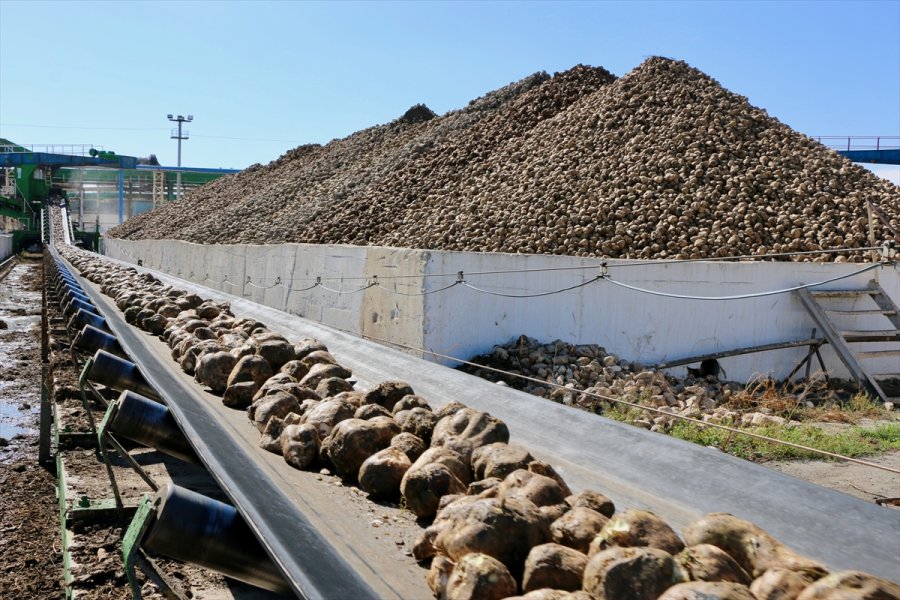 Eskişehir Şeker Fabrikası 10 Bin Tonla 