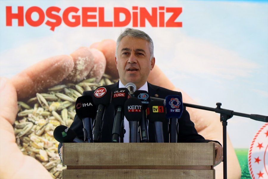 Kayserili Çiftçilere 414 Ton Yem Bitkisi Tohum Desteği Yapıldı