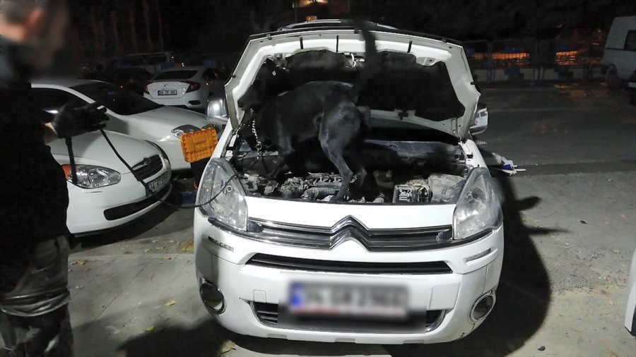 Mersin'de Uyuşturucu Sevkiyatını Narkotik Köpeği 